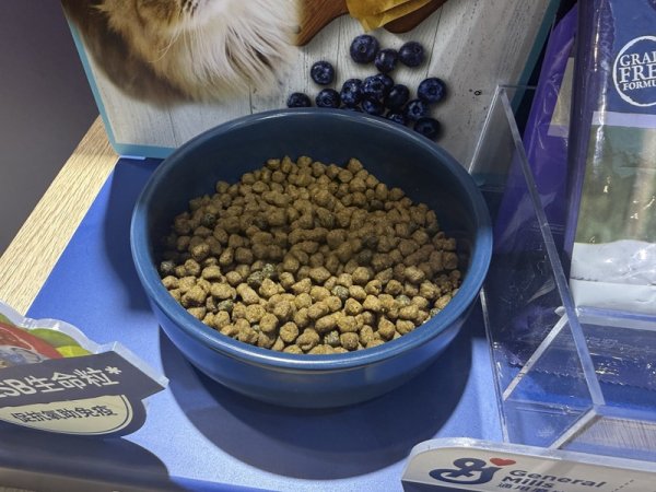 十倍配资开户 进口宠粮暂不涨价，外资品牌还要在中国开店